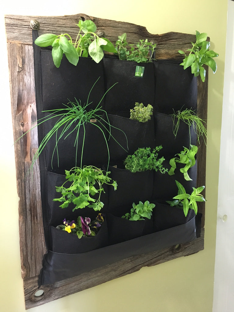 living wall planter