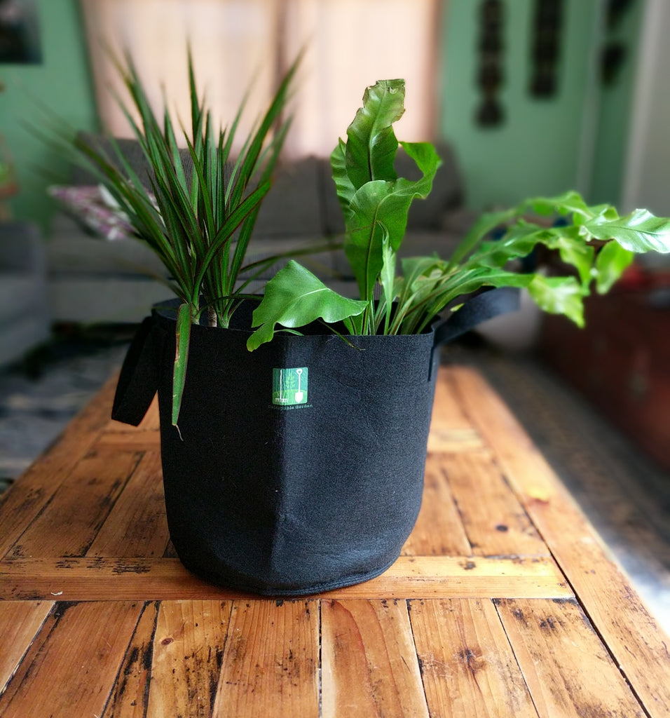 Plant Grow Bag/ Aeration Fabric Pot W/handles Garden Vegetables